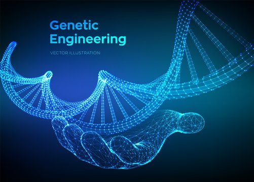 DNA sequence in hand. Wireframe DNA molecules structure mesh. DNA code editable template. Science and Technology concept. Vector illustration.