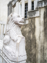 Statue of a venecian lion at koper