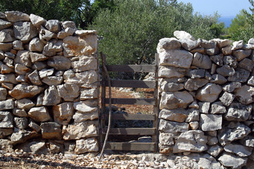 Wooden door. vintage gate - entrance of garden