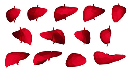 human liver. 3d vector. health and medicine. organ seal