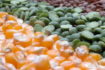 Various seeds and grains close up