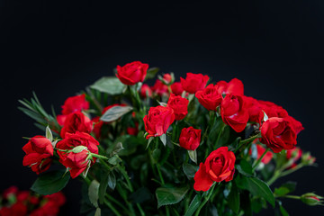 Beautiful Red roses flowers bouquet on dark background.