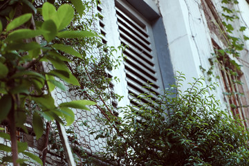 Nice close up antique house with wooden door at China town