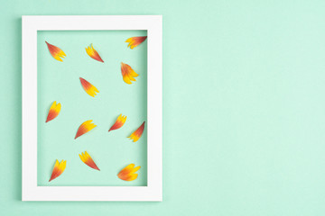 Orange petals, photo frame on a mint background. Top view, copy space. Flat lay