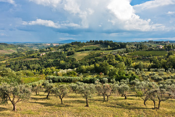 Fototapeta na wymiar Panoramic view on a hills, vineyards, olive and cypress trees, Tuscany landscape around San Gimignano, Italy