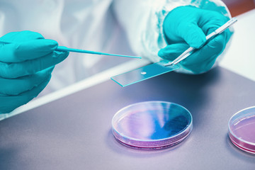 Microbiologist inspecting petri dish, observing bacteria growth
