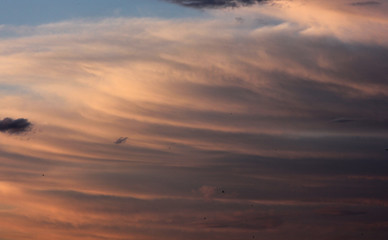 beautiful clouds of unusual shape at sunset