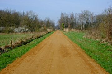 Fototapeta na wymiar Countryside rural pathway leading toward green forest