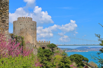 Naklejka premium Istanbul, the old fortress on the background of the new bridge.