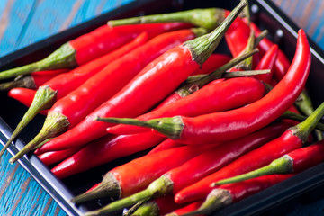 Red ripe chili peppers in black plastic plate over old wooden blue background, flat lay.