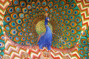peacock on the walls of ancient palace in Jaipur rajasthan