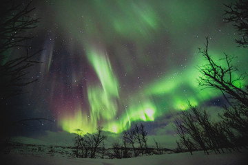 Northern Lights in Norway