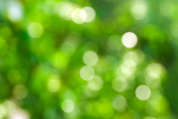 Green blurred abstract bokeh background, background for environmental concepts