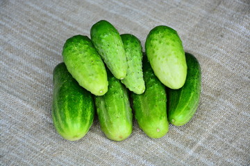 Fresh vegetables. Cucumbers. Food, ingredient