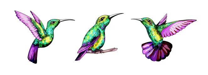 Raamstickers Vlinders Kleine kolibrie set. Exotische tropische colibrivogel. Gouden smaragdgroene veren