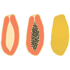 Set of three types of papaya – half, with bones, in the skin. Vector illustration. - 277913424