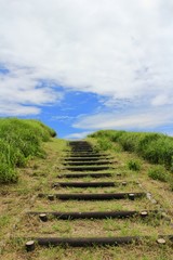 Fototapeta na wymiar 南伊豆　ユウスゲ公園