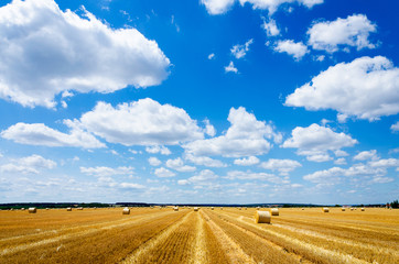 Straw bales with blue cloudy sky