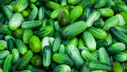 cucumbers