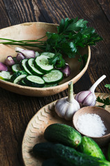 Bowl of freshly picked organic cucumbers and garlic, fresh vegetables salad