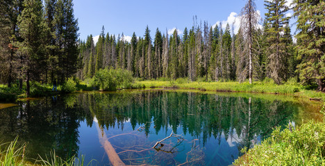 Beautiful View of Little Crater Lake during a vibrant sunny summer day. Taken in Mt Hood National Forest, Oregon, United States of America. © edb3_16