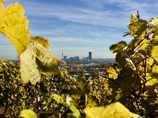 Fall in Vienna