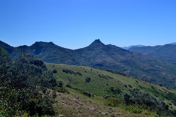 Fototapeta na wymiar Monte Maiori e Punta Pubusinu visti da Monte Arcuentu