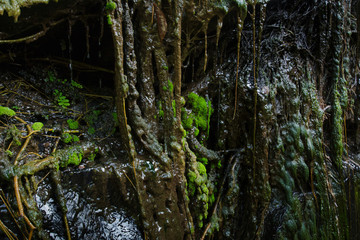 Background and black marble. Bedrock Stone In the forest near the waterfall in phuket thailand