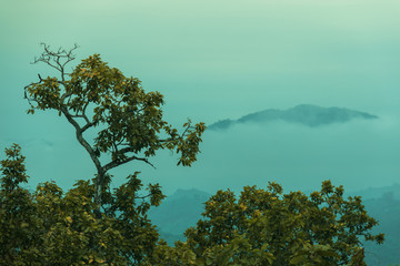 Obraz na płótnie Canvas Mountain and fog