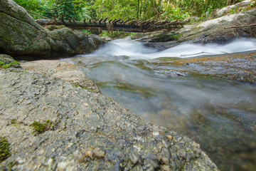 Ton Chong Fa,in the forest tropical zone ,national park Takua pa Phang Nga Thailand