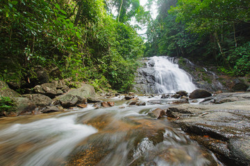 Ton Chong Fa,in the forest tropical zone ,national park Takua pa Phang Nga Thailand