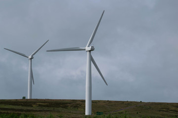 Wind turbines on Heather Moor near the coastline, Scotland