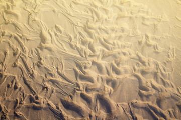 Sand texture.Sandy beach for background. Top view in phuket thailand