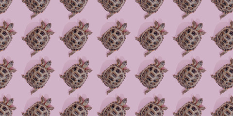 Turtle on pink background trend flat lay concept with fashionable toning. Many turtles pattern