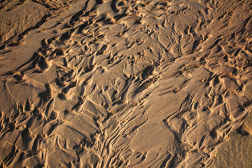 Sand texture.Sandy beach for background. Top view in phuket thailand