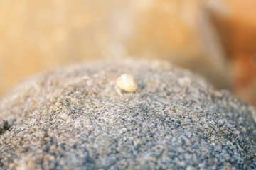 Rocky background By the sea Phuket Thailand morning blur