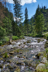 porywisty strumień wody w górach © ftomasz