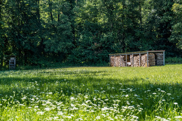 Brennholz Lager abgedeckt auf Wiese im Sommer © focus finder
