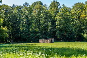 Brennholz Lager abgedeckt auf Wiese im Sommer © focus finder