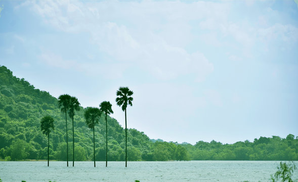 A landscape view from Kava,Malampuzha, kerala 