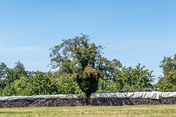 Brennholz Lager abgedeckt auf Wiese im Sommer © focus finder