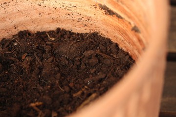 Flowerpot closeup