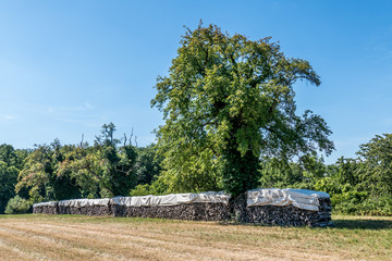 Brennholz Lager abgedeckt auf Wiese im Sommer © focus finder