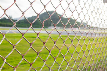 Fototapeta premium wire mesh steel with green grass background in Phuket Thailand