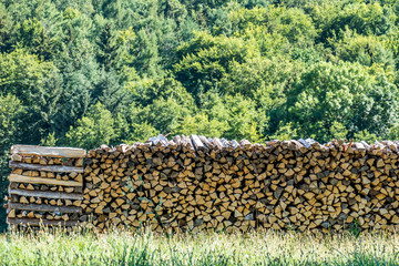 Brennholz Lager abgedeckt auf Wiese im Sommer © focus finder