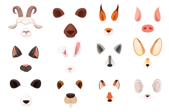 Animal face elements set cartoon flat design ears and noses vector illustration isolated on white background