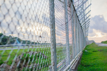 Fototapeta premium wire mesh steel with green grass background in Phuket Thailand