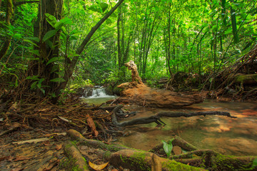 Waterfall in autumn forest at  Sa Nang Manora National Park ,Phang-nga Thailand