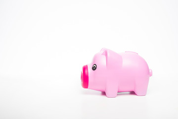 pink cute pig bank on white background