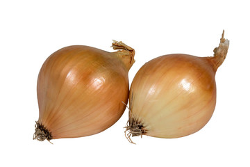 Isolated vegetable onion image on white.  Background.